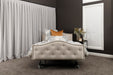 iCare IC777 homecare bed NZ