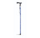 Lifestyle T-Handle Folding Walking Stick - Paisley
