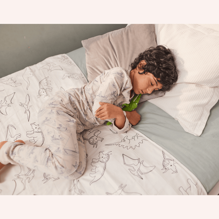 Brolly Sheet Single – Dinosaur