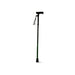 Folding T Handle Cane - HueCanes and Walking SticksGoldfernMobility Plus