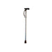 Folding T Handle Cane - PetalCanes and Walking SticksGoldfernMobility Plus