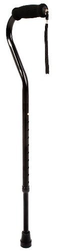 Swan Neck Handle Cane - BlackCanes and Walking SticksGoldfernMobility Plus